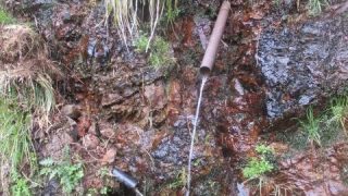 Thumbnail of post image 179