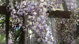 Thumbnail of post image 073