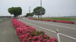 Thumbnail of post image 035