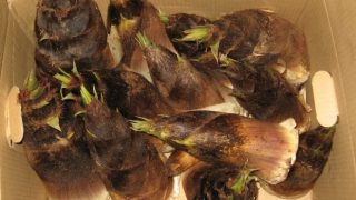 Thumbnail of post image 133