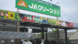 Thumbnail of post image 170