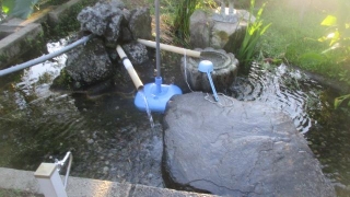 Thumbnail of post image 133
