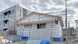 Thumbnail of post image 098