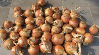 Thumbnail of post image 036