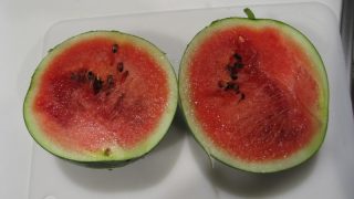 Thumbnail of post image 100