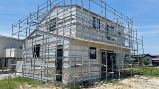 Thumbnail of post image 151