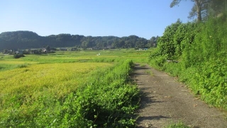Thumbnail of post image 012
