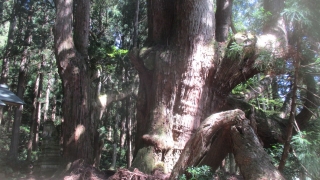Thumbnail of post image 087