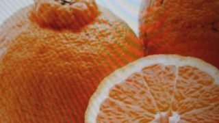 Thumbnail of post image 118