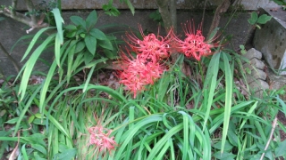 Thumbnail of post image 180