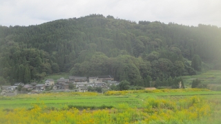 Thumbnail of post image 063