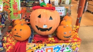 Thumbnail of post image 077