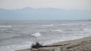 Thumbnail of post image 043