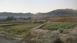 Thumbnail of post image 115