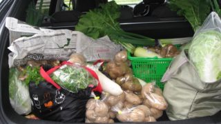 Thumbnail of post image 147