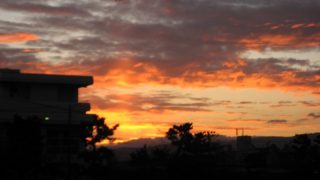 Thumbnail of post image 150