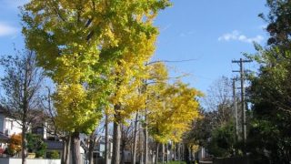 Thumbnail of post image 017