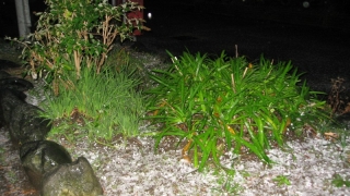 Thumbnail of post image 171