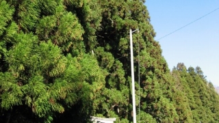 Thumbnail of post image 147