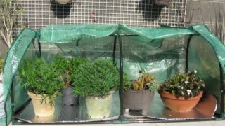 Thumbnail of post image 182