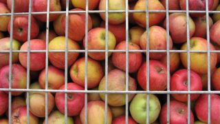 Thumbnail of post image 049