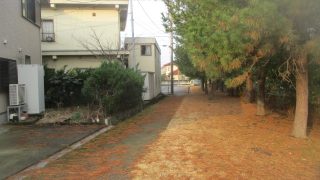 Thumbnail of post image 148