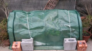 Thumbnail of post image 072