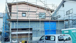 Thumbnail of post image 100