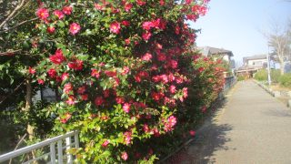 Thumbnail of post image 191