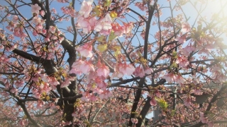 Thumbnail of post image 037