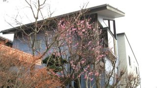 Thumbnail of post image 106